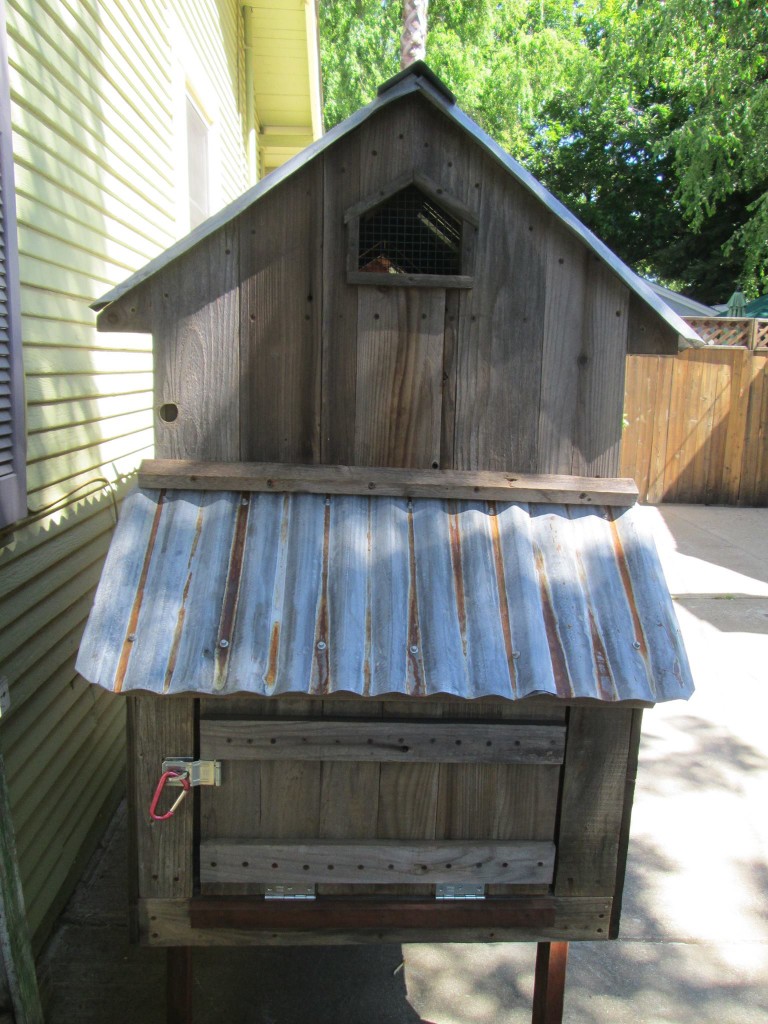 11402267_716790231766726_1426156154326004319_o