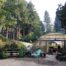 Visit to Digging Dog Nursery in Albion, CA – The Plant Foundry
