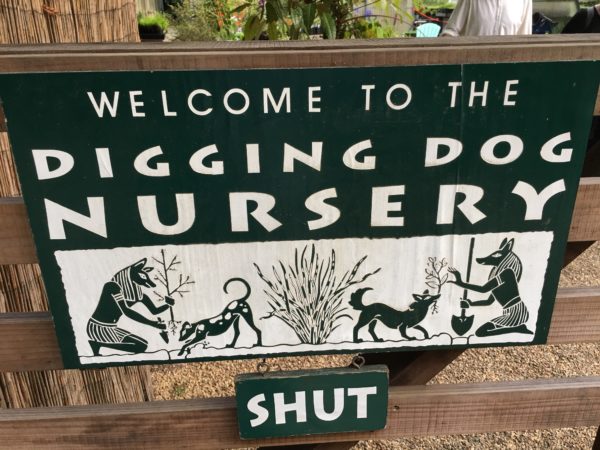 Visit to Digging Dog Nursery in Albion, CA – The Plant Foundry
