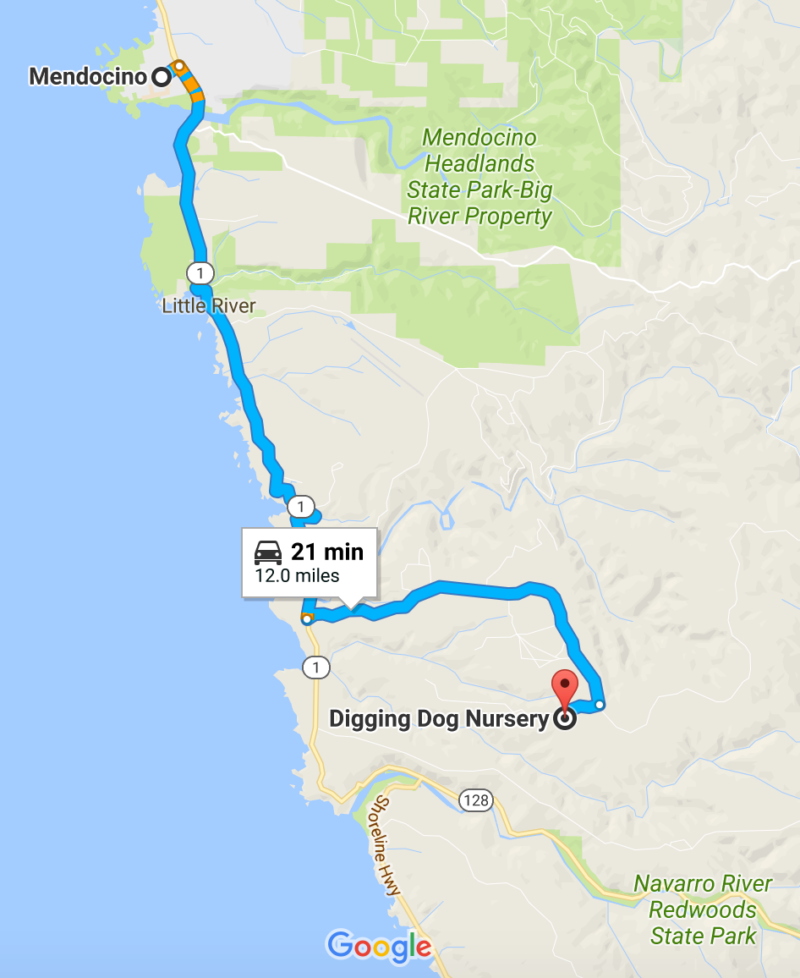 Visit to Digging Dog Nursery in Albion, CA – The Plant Foundry