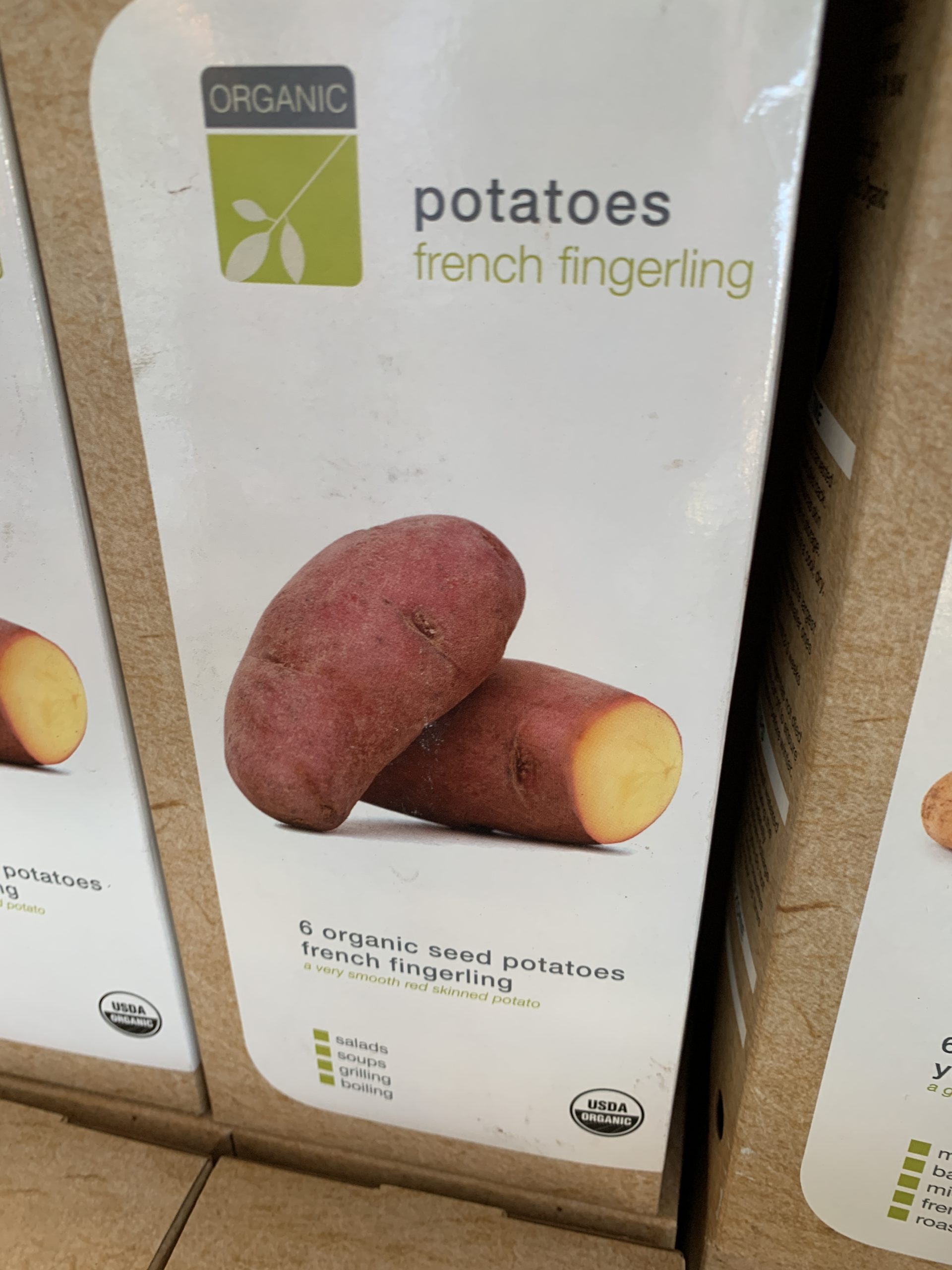 Planting Potatoes Mid-Feb through April – The Plant Foundry