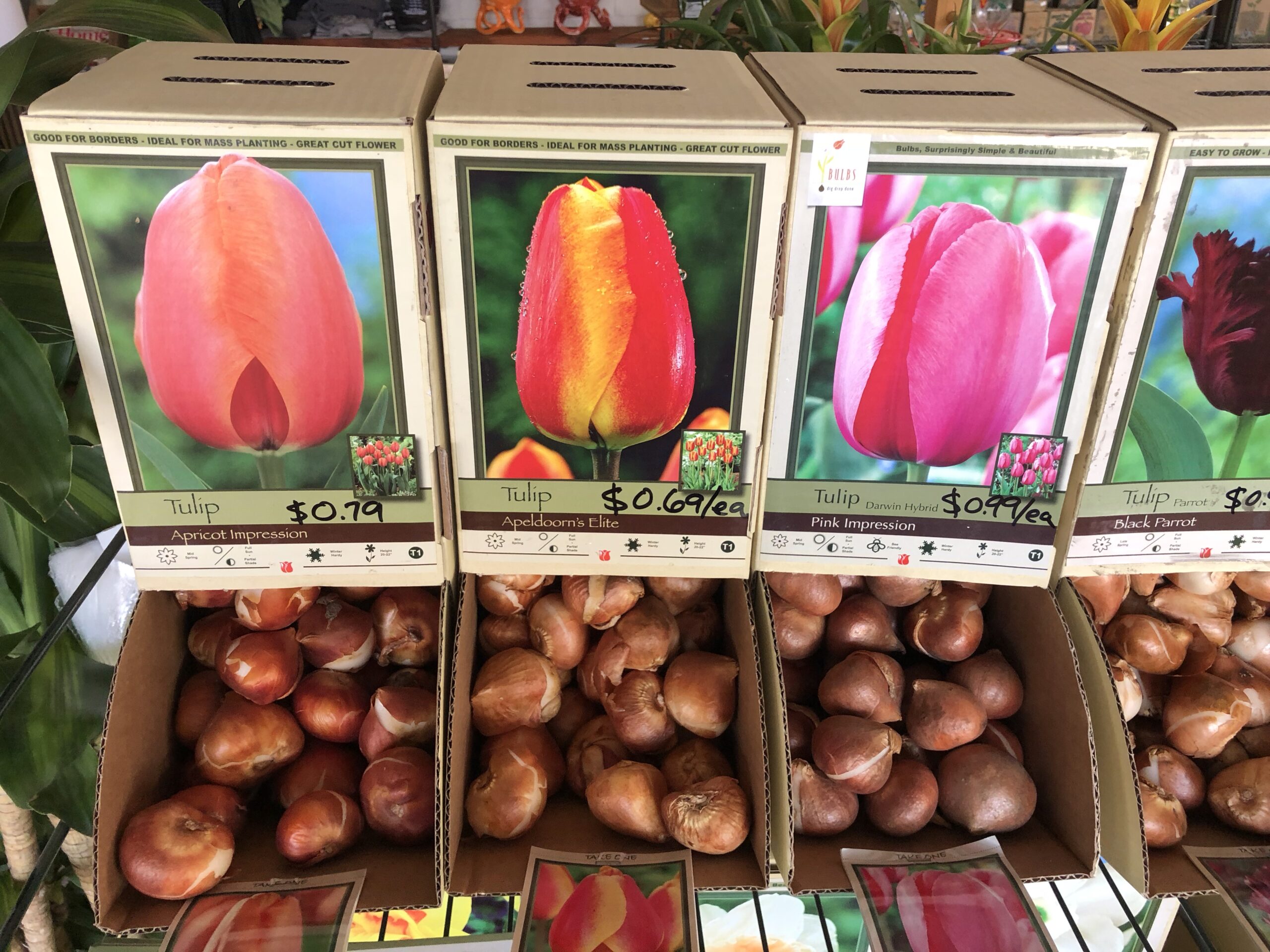 September Garden To-Dos