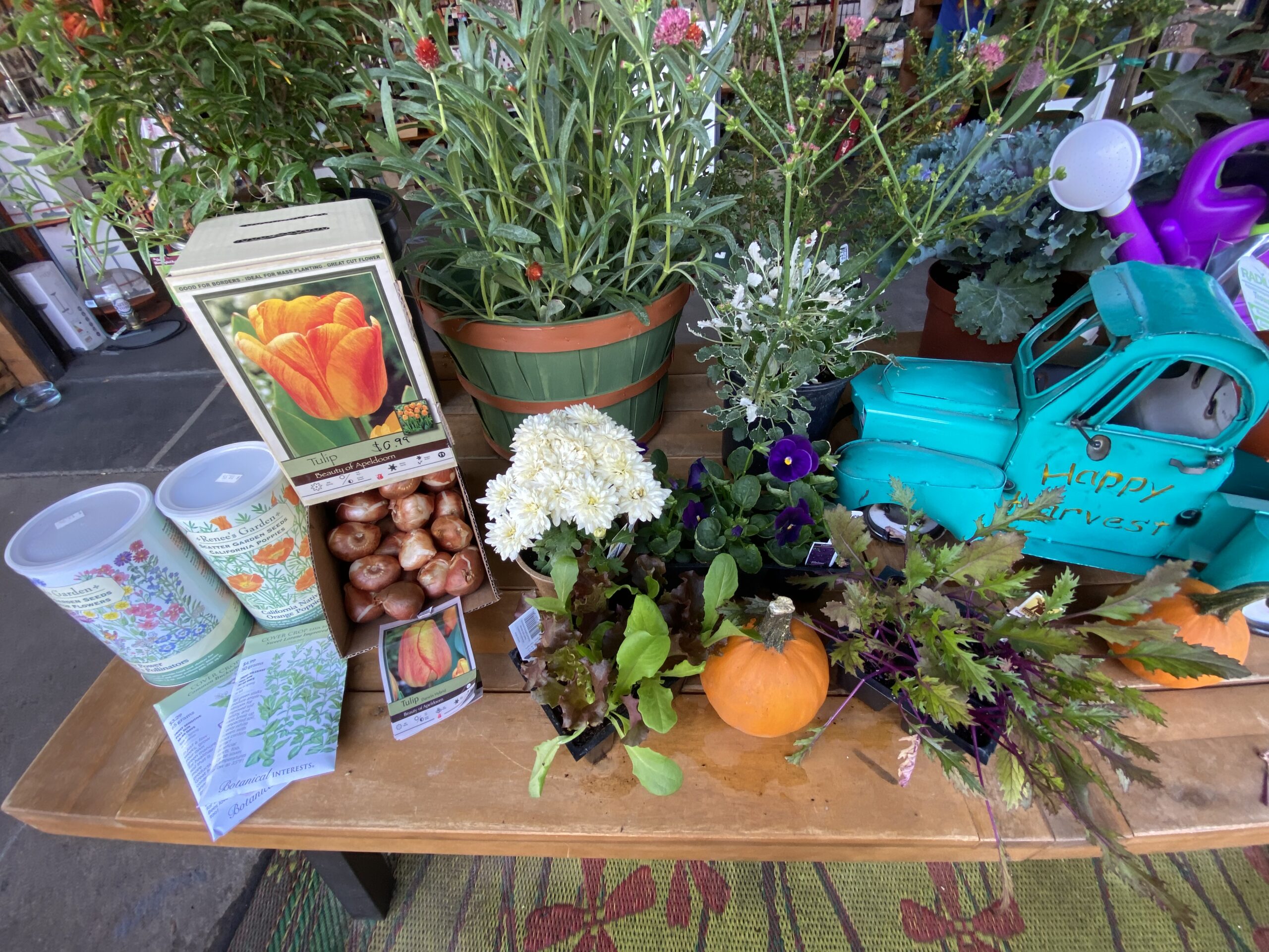 Fall Planting Continues