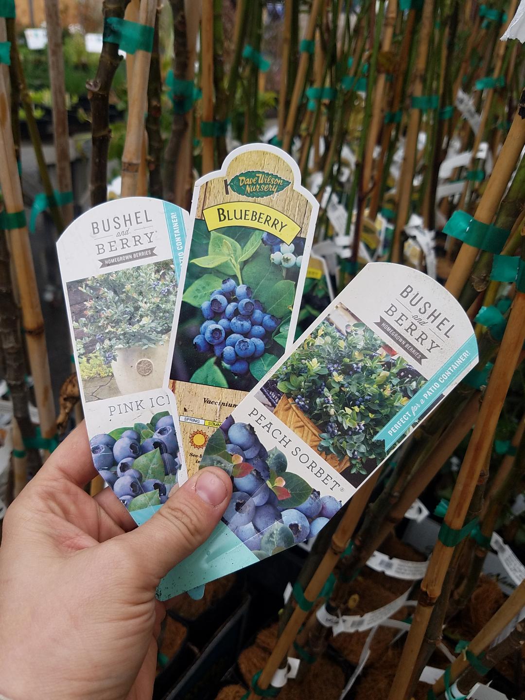 2021 Farmers’ Market Favorites are here!